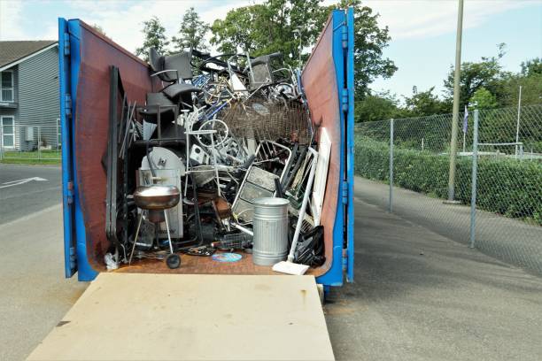 Yard Cleanup Services in Madison Heights, VA